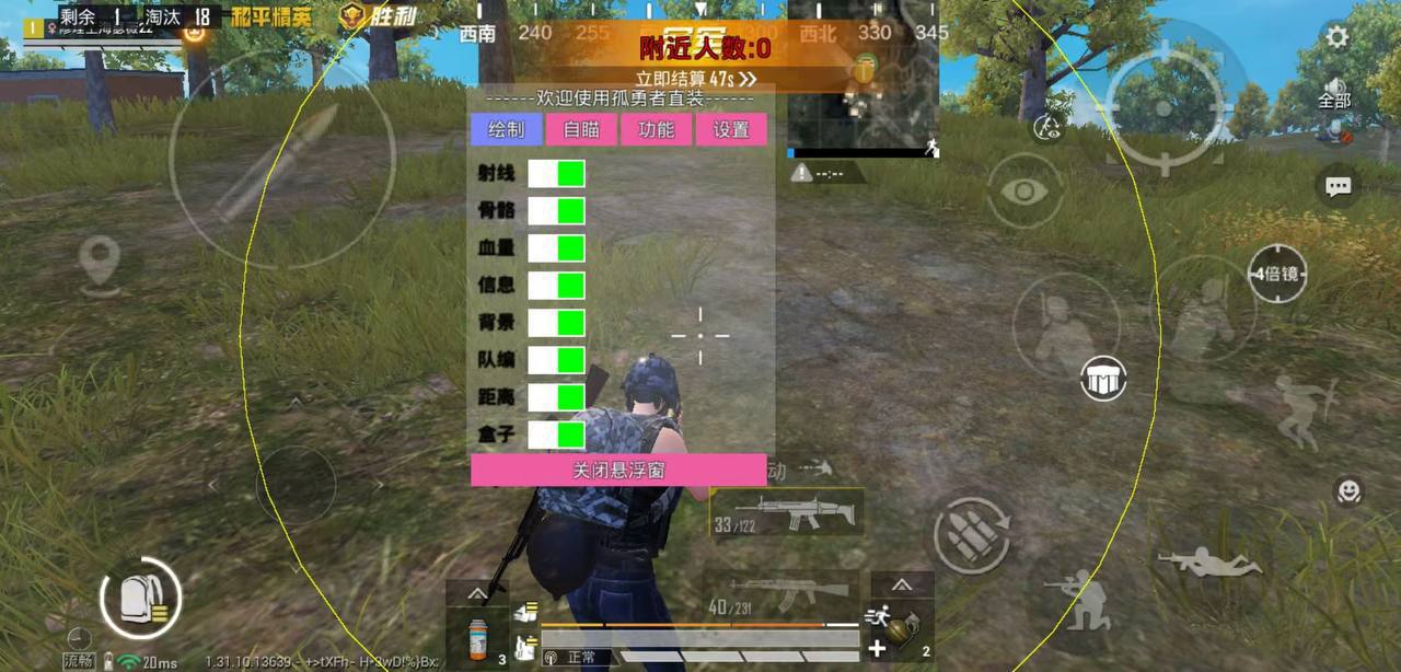 和平精英【神王】辅助